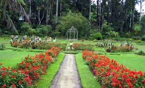 Visit Hakgala Botanical Garden – A Floral Paradise